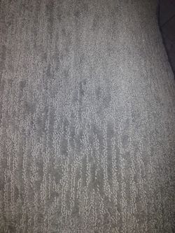 Carpet Gray's New 11x15