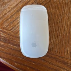 Apple Wireless Mouse A1296