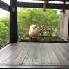 Jim