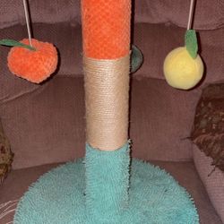 Cat Toy