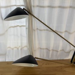 Mid century Modern West Elm Mantis lamp