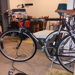 Panasonic Sport Bicycle 