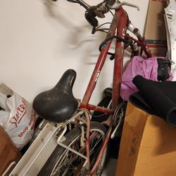 Currie Technologies Men's eZip Eco-Ride-2 SLA Electric Bicycle