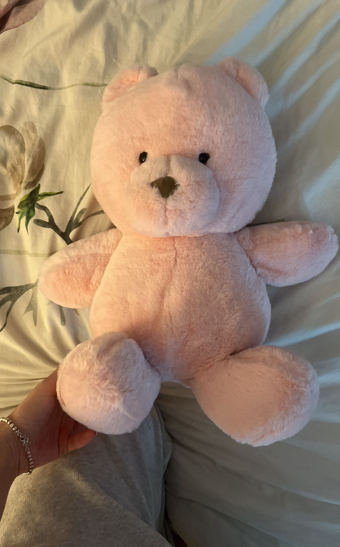 Pink Teddy Bear