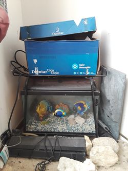 10 Gallon Fish Tank