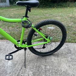 Mountain Bike