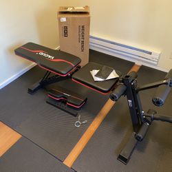 Brand New Workout Bench