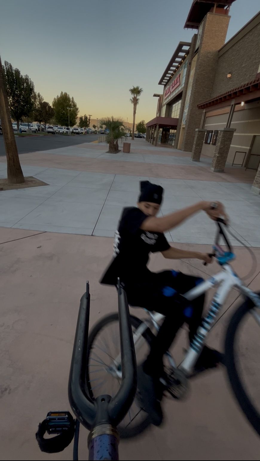 Big Flyer 29 SE BIKE