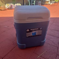 Cooler