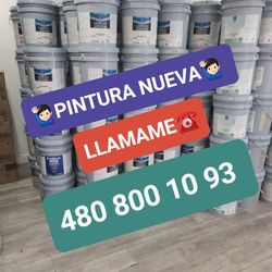 Paint for sale