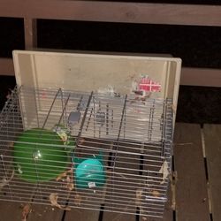 Cage For A Guinea Pig