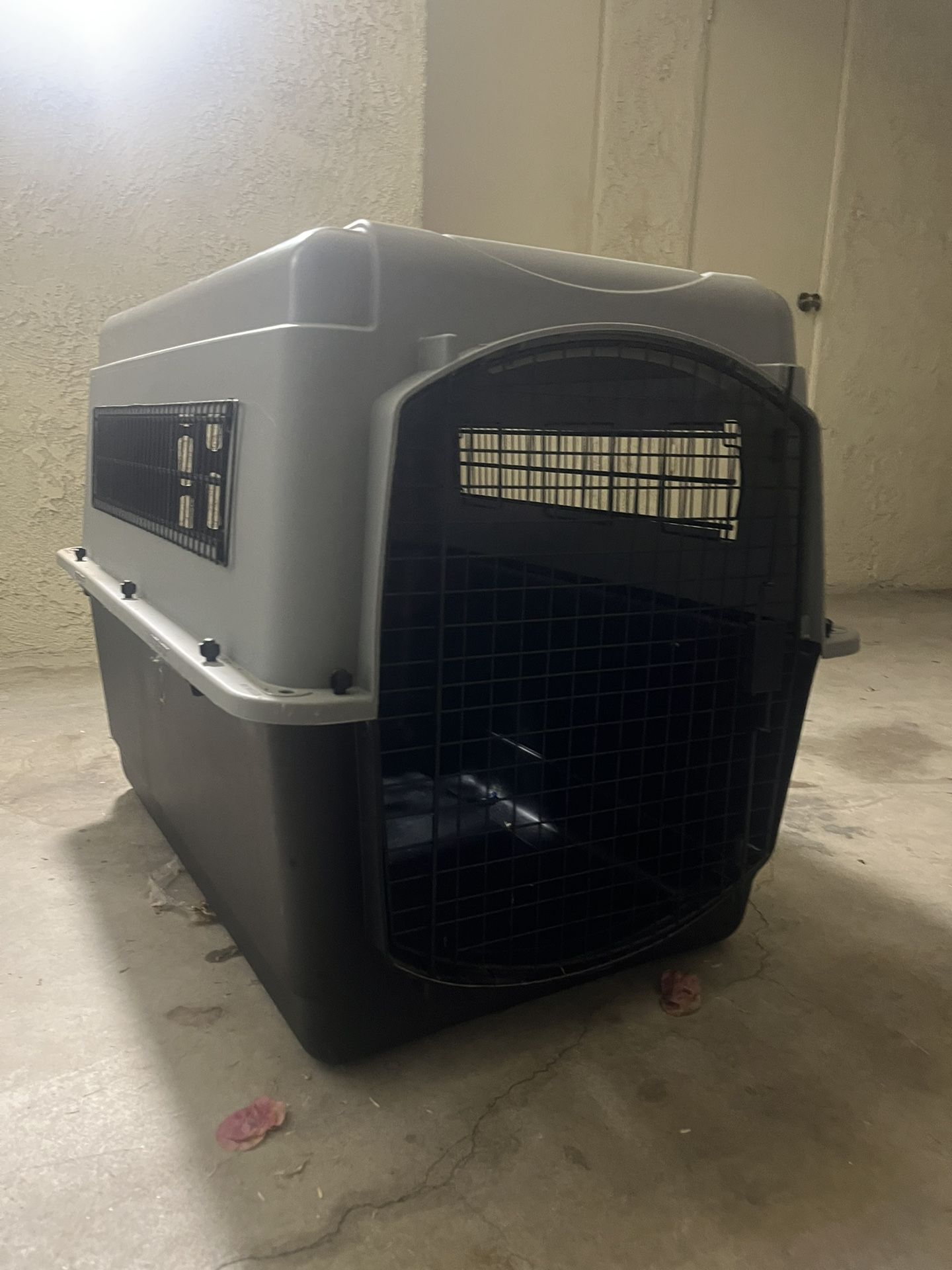 dog crate