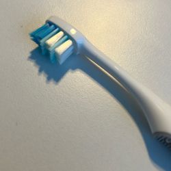 Used Tooth Brush