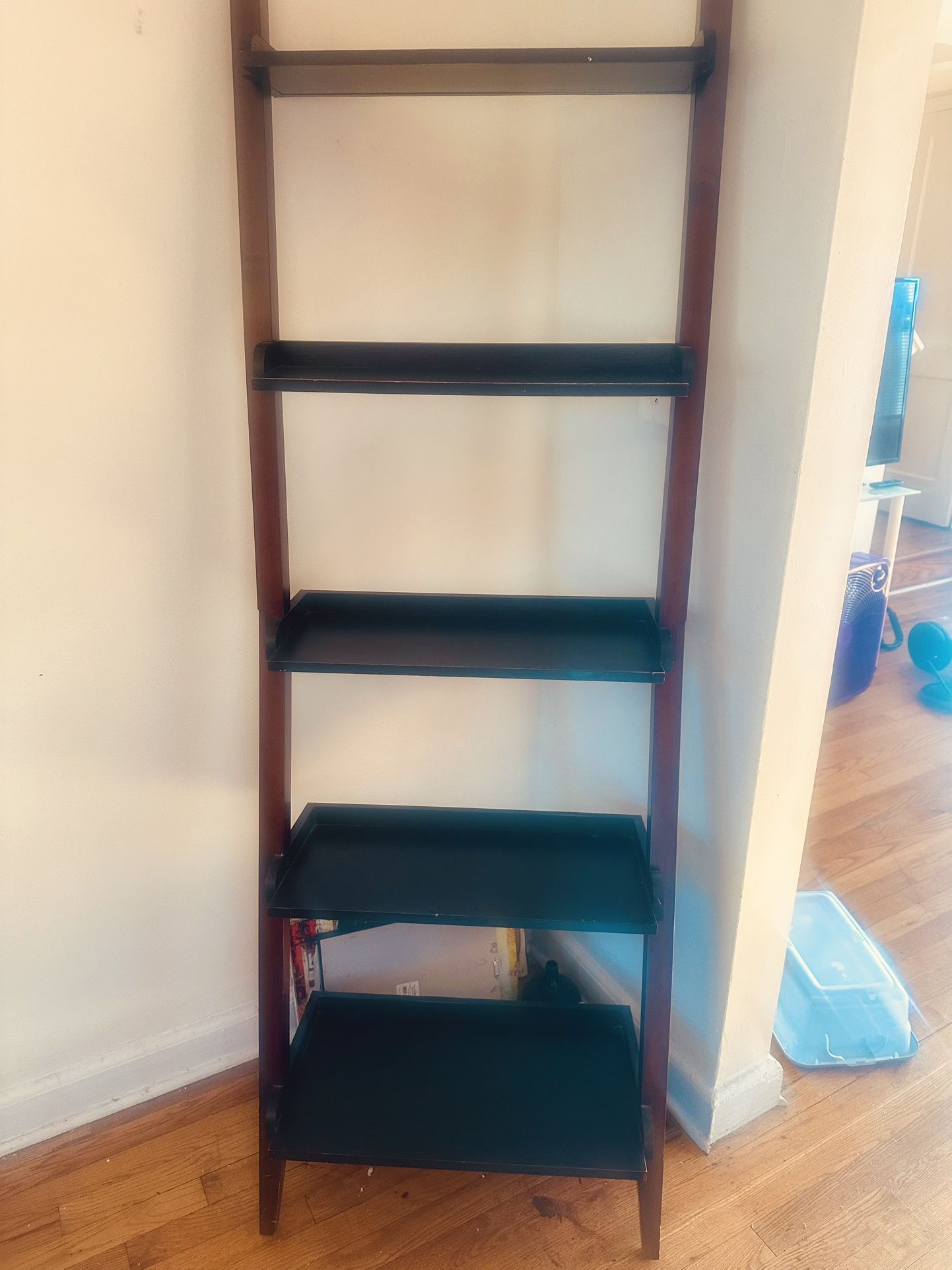 Ladder Book Shelf