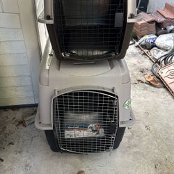 Dog Cages Large and Medium