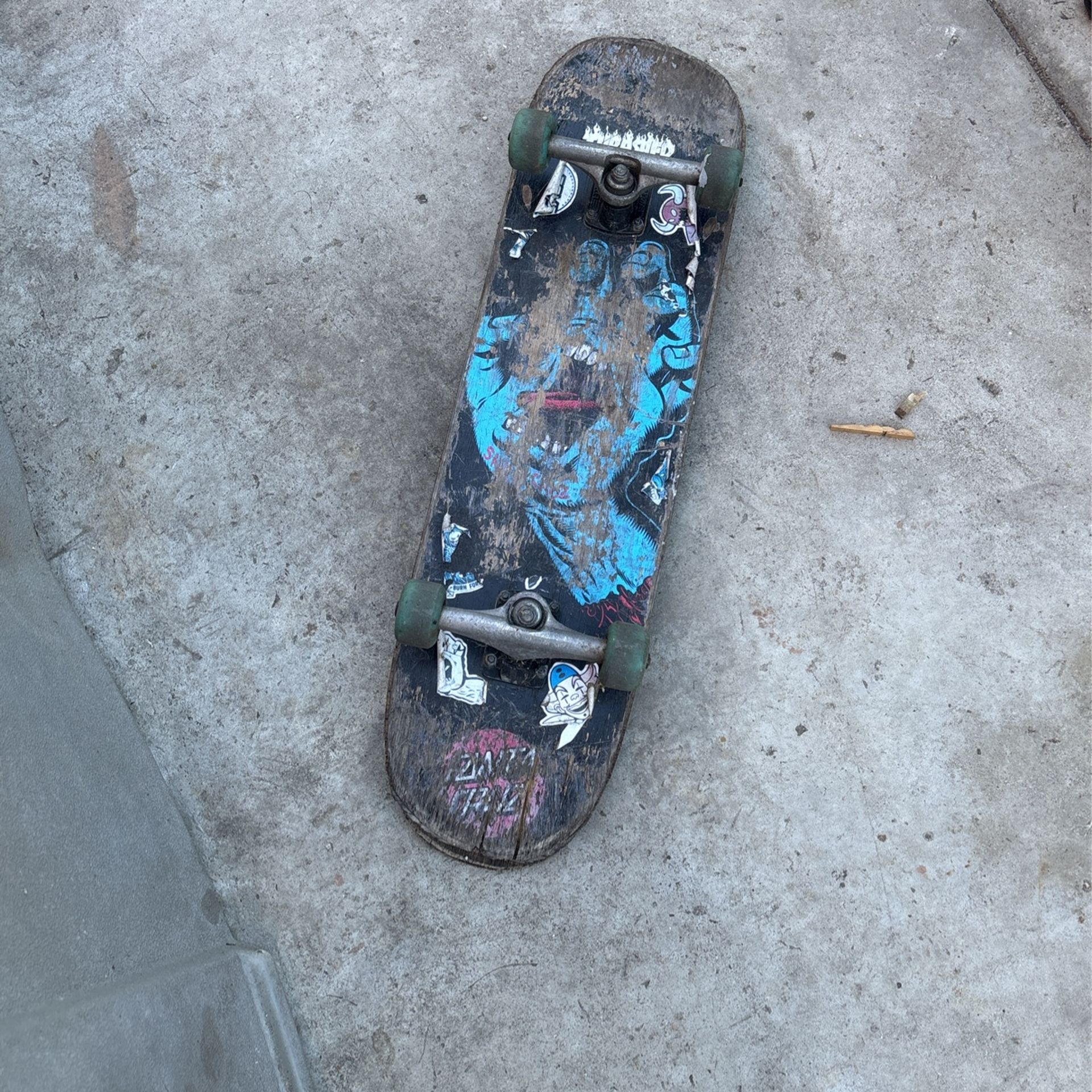 Santa Cruz Skateboard