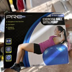 Excersize Ball With Pump