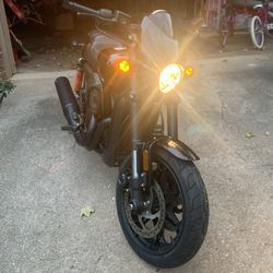 2017 Harley Davidson Street Rod Gx750 Black
