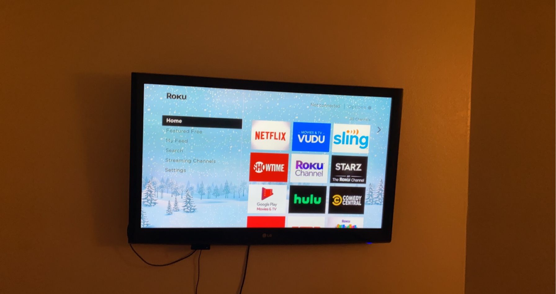 Lg tv with Roku