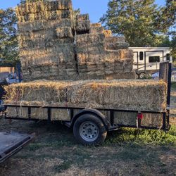 Grass Mix 