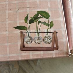 Glass Plant Stand 
