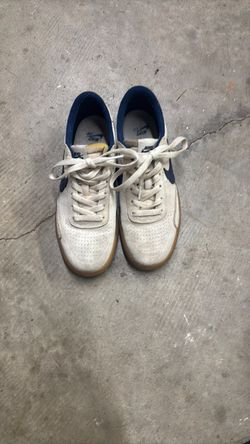 Blue and white Nike SB’s size 7