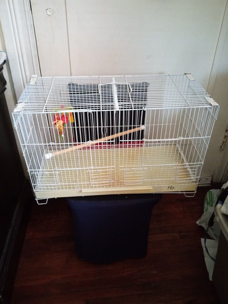 Bird Cage 