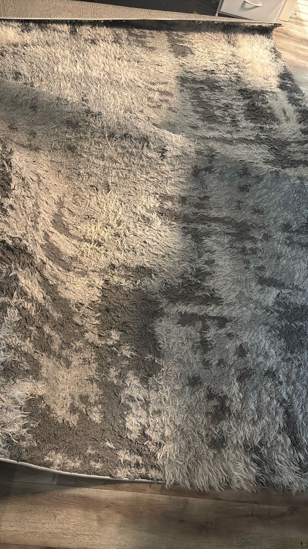 8 X 10  Safavieh Carpet