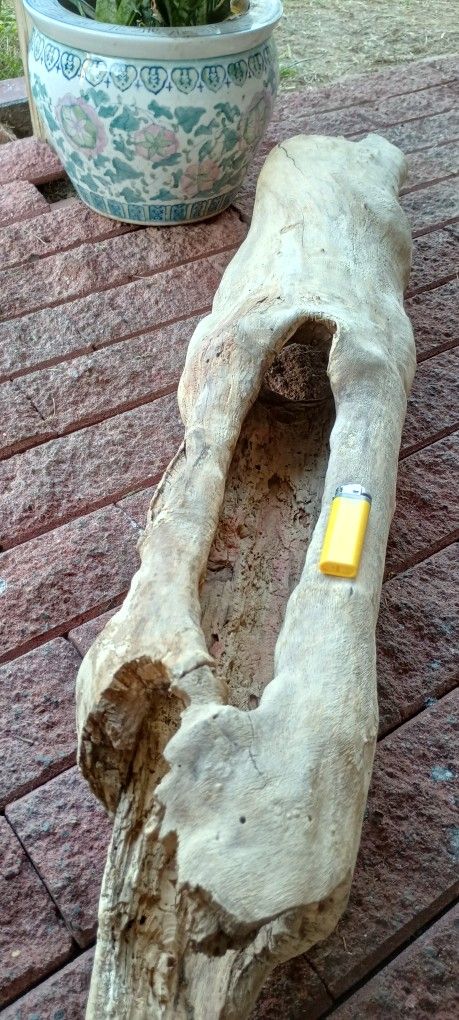 Driftwood For Reptile