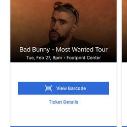 Bad Bunny Concert Tickets 