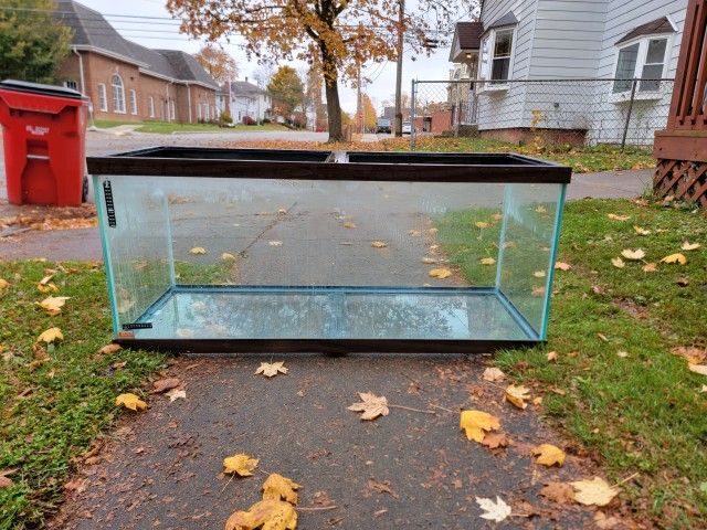 Fish Tank