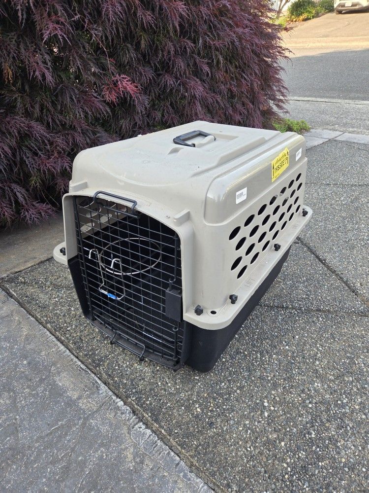 Medium Dog Kennel