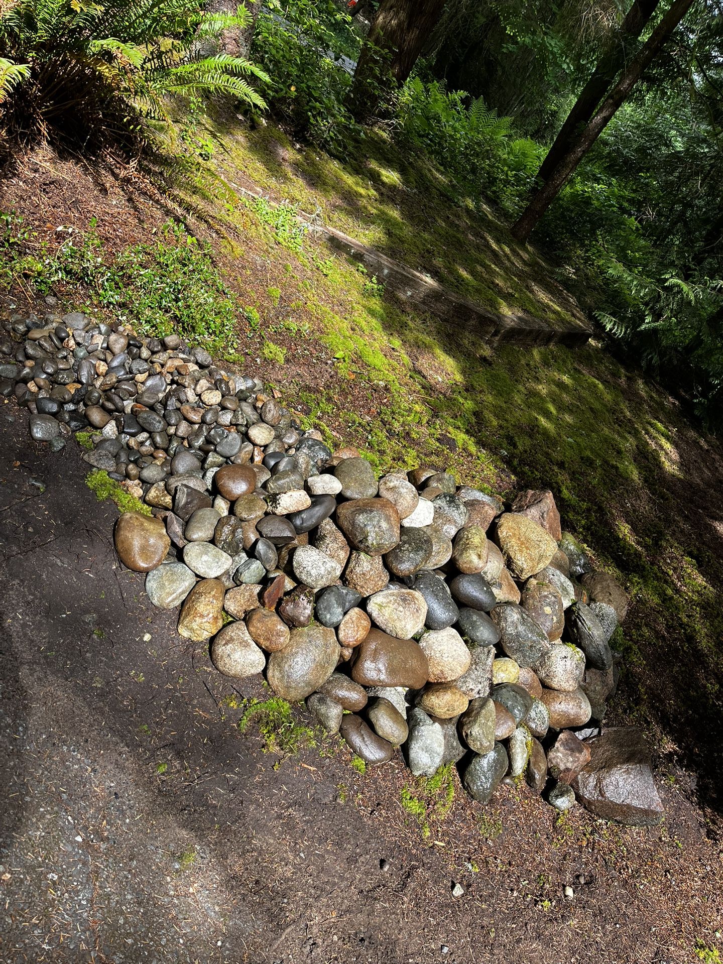 River / Landscape Rocks!