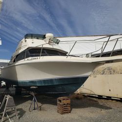 Sea bird Flybridge Sport Cruiser