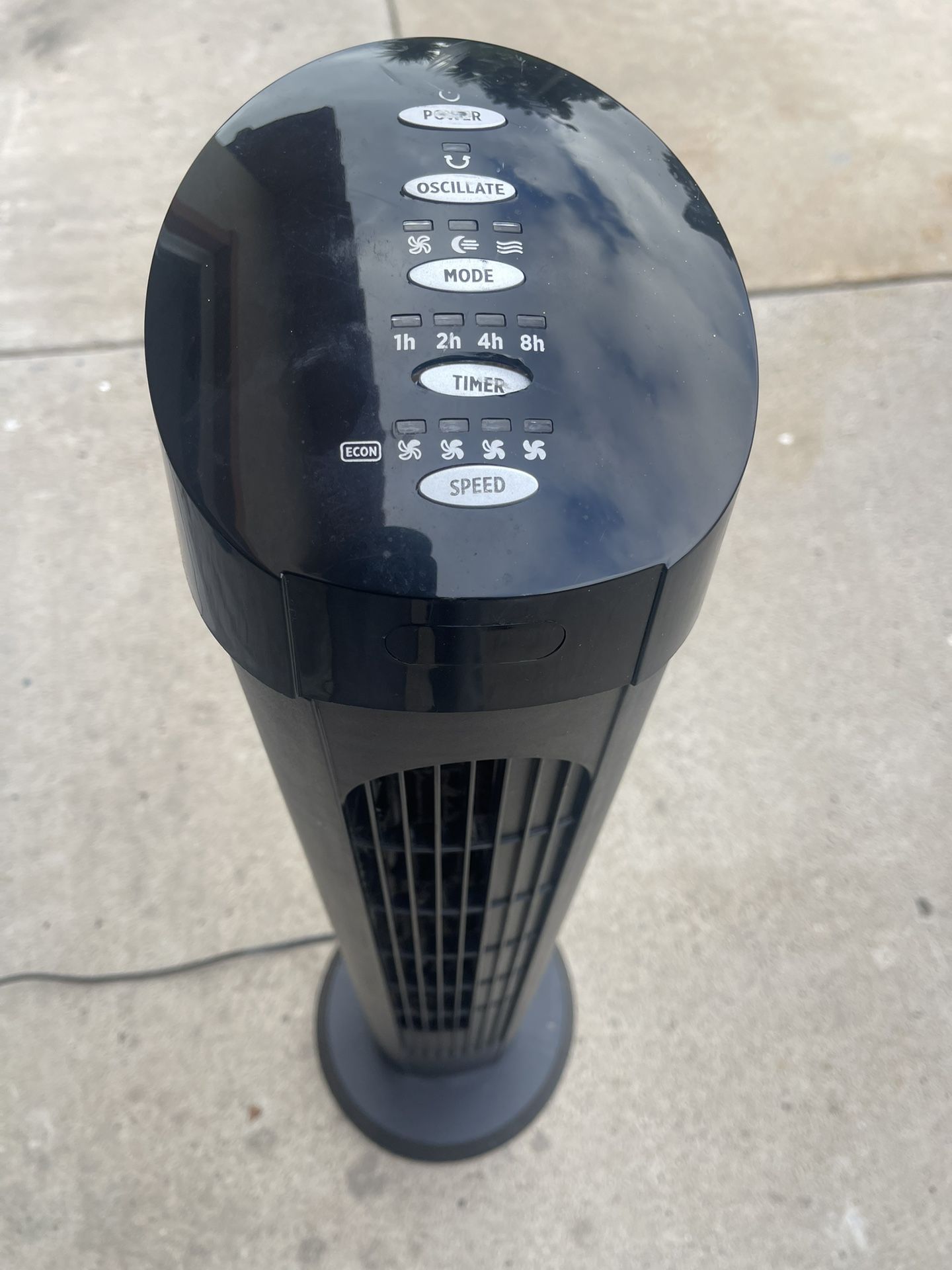 Fan