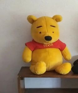 Big Winnie The Pooh 