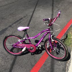 EElite Schwinn Really Good 