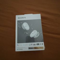Sony Earbuds 