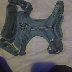 Dog Harness