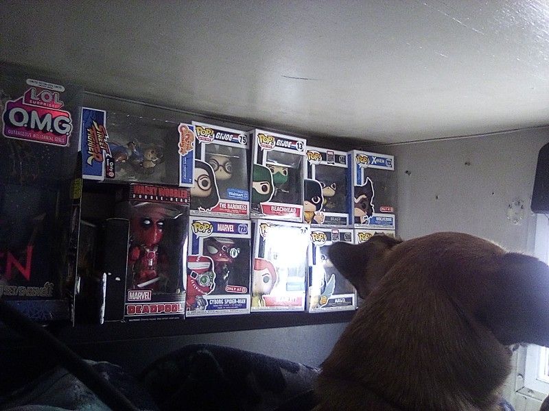 Collectible