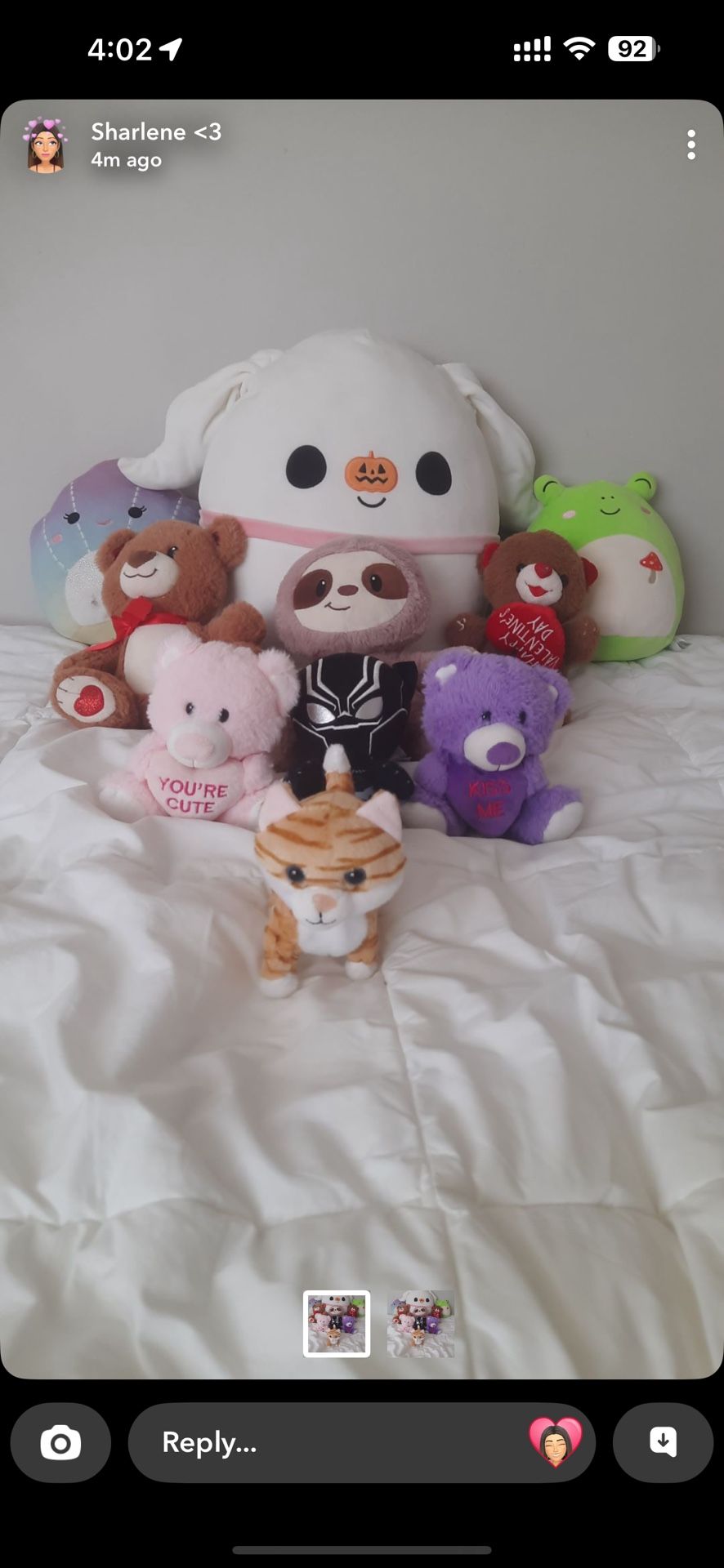 Soft Toys