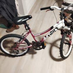 20-in Bike Runs And Shifts Good