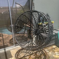 Hanging Nest Chairs
