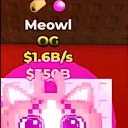 Meowl 1.6bil