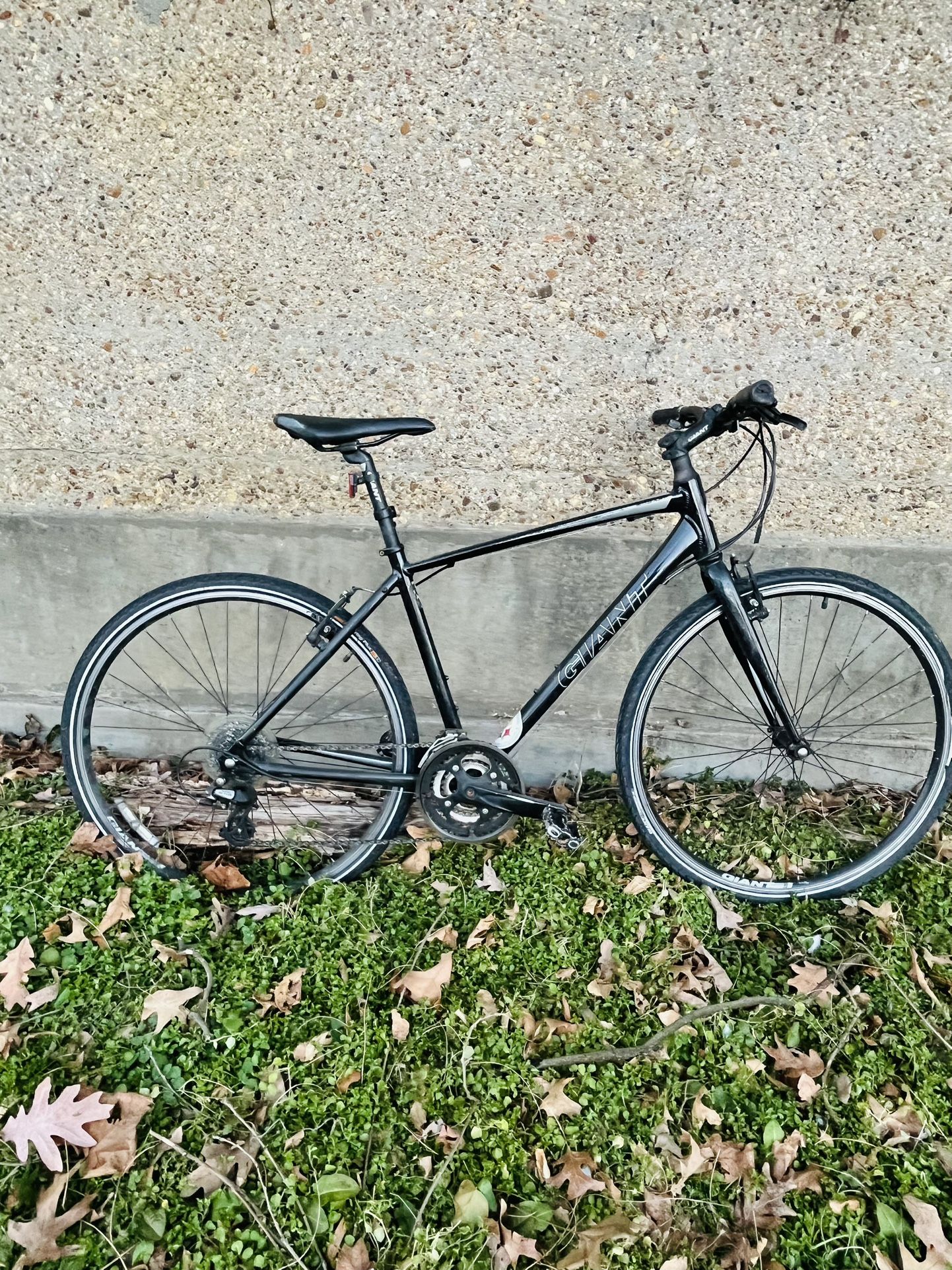 Giant Escape Hybrid Bike