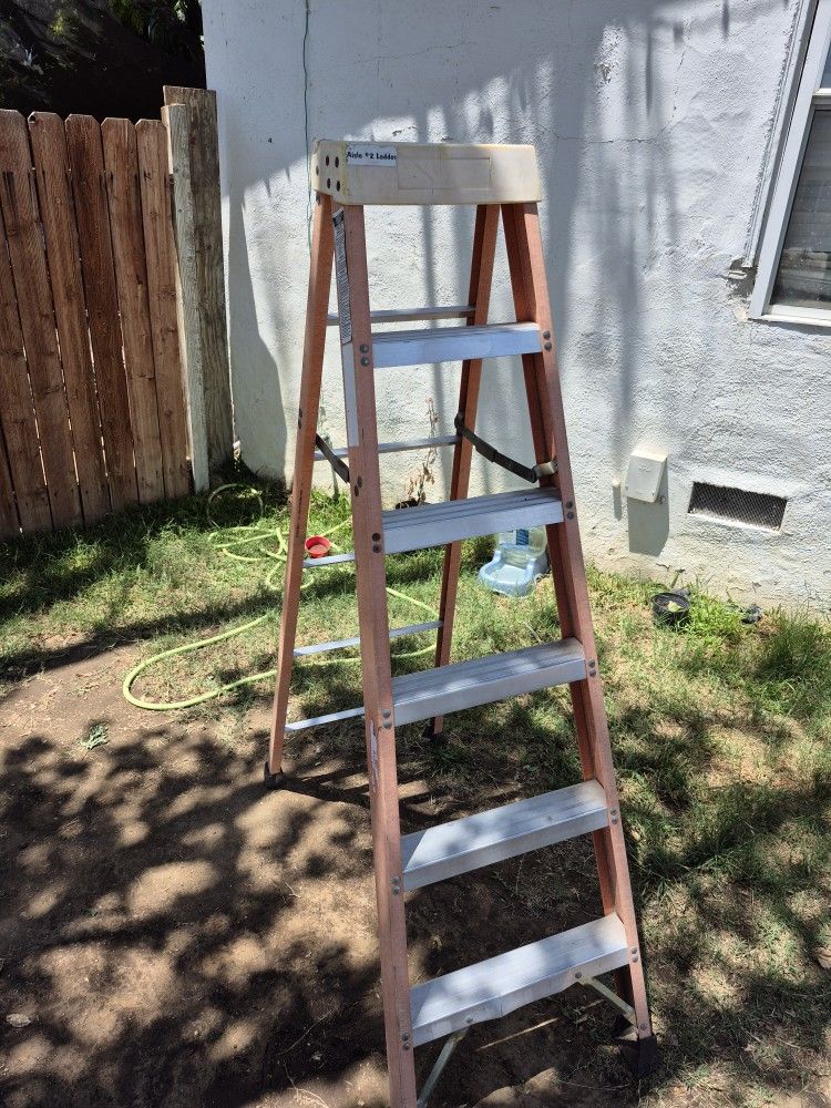 Fiber Glass Ladder