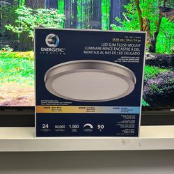 LED Slim Flush Mount 14”