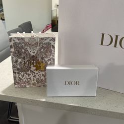 Small Dior Bag And Box
