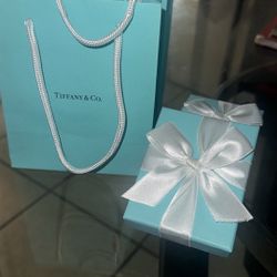 Brand New Tiffany & Co. Chain And Pendant 