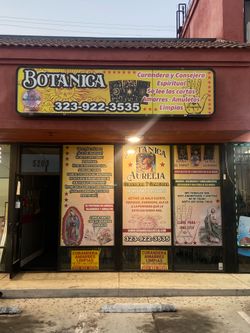 Botánica
